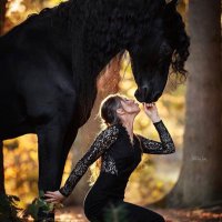 Amira Fayad (@aifayad) 's Twitter Profile