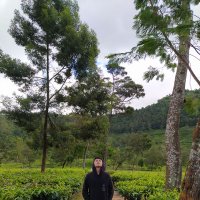 gendar (@fitoamaru_) 's Twitter Profile