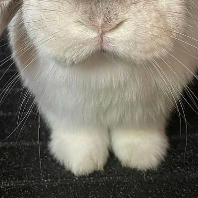 star_candy_baby's profile picture. don't follow