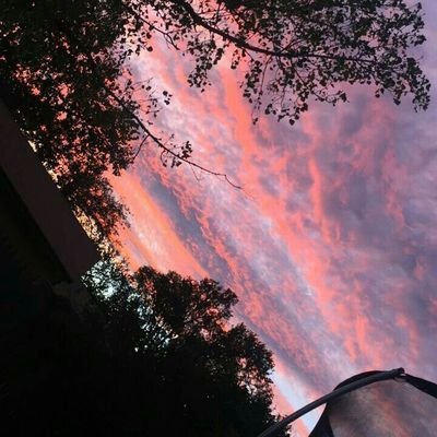 vidwrng's profile picture. 