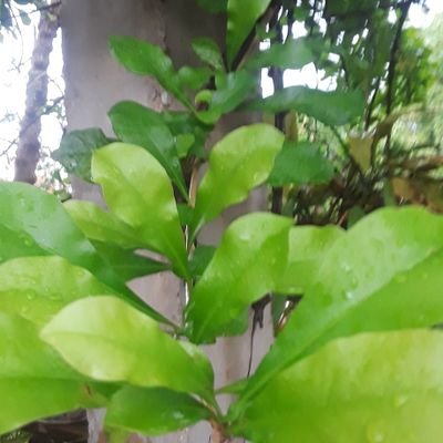 Juan49968061's profile picture. DJ Juan