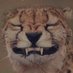 محمد (@df8bmqvjxvzirjs) Twitter profile photo محمد (@df8bmqvjxvzirjs) Twitter profile photo