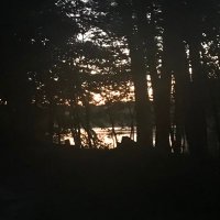Kristi (@kristi27935627) 's Twitter Profile