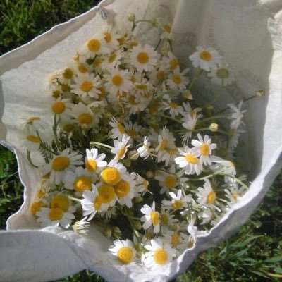 tellmehow990's profile picture. -