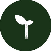 TREEage(@TREEage_Team) 's Twitter Profile Photo