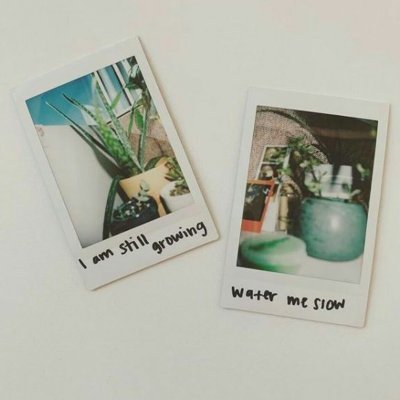 NgeliSee's profile picture. If you take "EAT" too seriously, then you really need some church!

-----________-----

Think about "EAT"