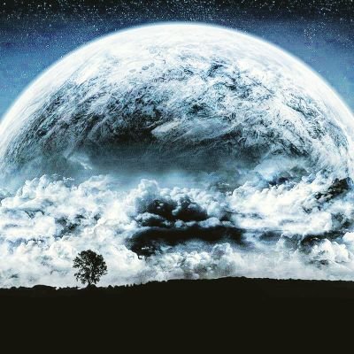 lone_Sgl's profile picture. 