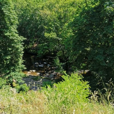 vieiragomeshugo's profile picture. IG: hvgdc03 👻: hugovgdc03