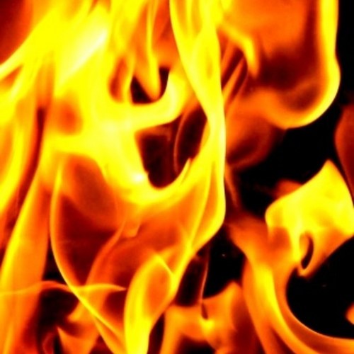 166rob's profile picture. 