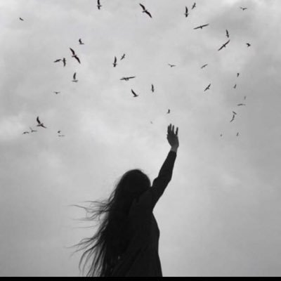 OGzufdeE8Jy6h4A's profile picture. 