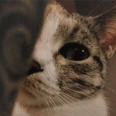 ShyPrincessSana's profile picture. Why r u keep doin this