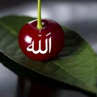 صٓمِتْ القُلِوبّ ♡ (@9mt_alglob) 's Twitter Profile