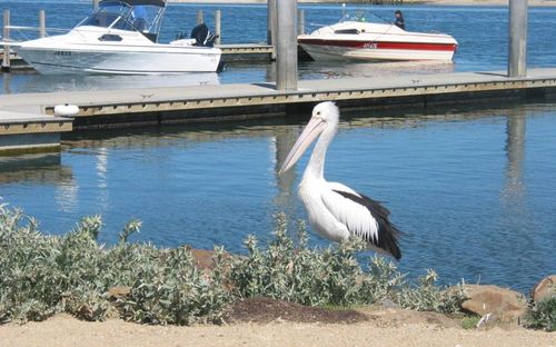 Do you love Werribee? If so, then visit this page regularly for local news, events & updates on all things Werribee. Enjoy!