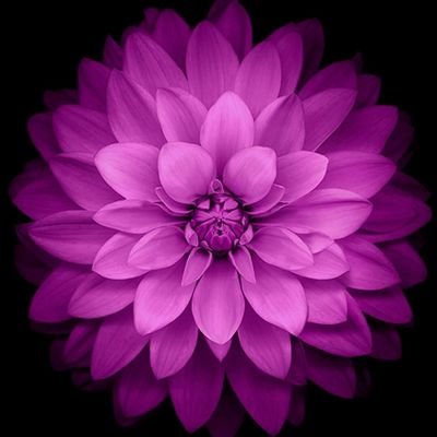 WahabnewsC's profile picture. May Allah Almighty allow us all to live in peace and security