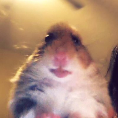 Agrega tu nombreさんのプロフィール画像