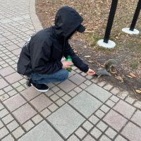 Ian Hagadorn (@itsiannn) 's Twitter Profile Photo