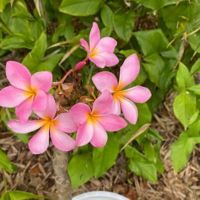 Cool2InvestFL's profile picture. Investor$$ Entrepreneur🏆. Blessed life 🙏 Happy Wife💕 Proud mom❣️