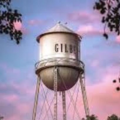 AGilbertCitizen's profile picture. A concerned citizens of the great town of Gilbert, AZ.