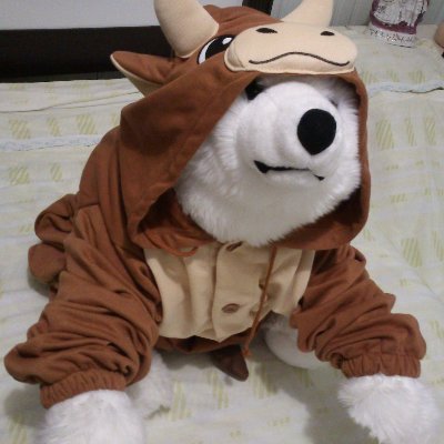 Ceno Bear òᴥó 🐻‍❄️さんのプロフィール画像