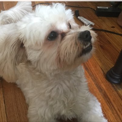 kwabbyka47's profile picture. 