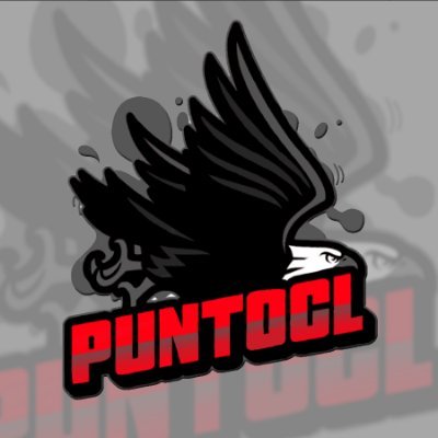 PᴜɴᴛᴏᴄL 𝓸𝓯𝓲𝓬𝓲𝓪𝓵 🇨🇱 Profile