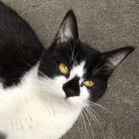 kiris47 (@kiris47) 's Twitter Profile