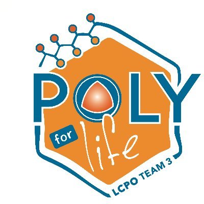 Polymer Self-Assembly & Life Sciences team of Laboratoire de Chimie des Polymères Organiques @LCPO_Bordeaux led by Prof. Seb Lecommandoux @Biomac_ACS_Bord