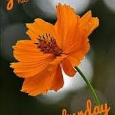 Mohan30124800's profile picture. @mohan