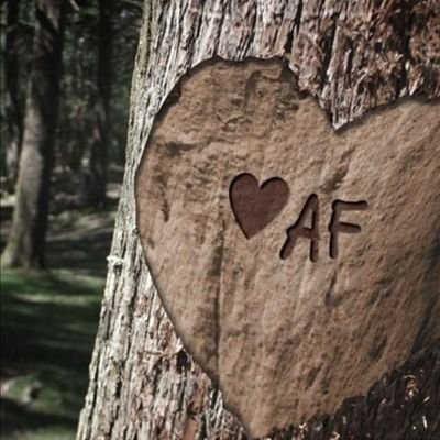 Ppvkw3oiscX7qIc's profile picture. ‏ابحث عن الحقيقه