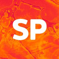 Sweet Punk (@agencesweetpunk) 's Twitter Profile Photo Sweet Punk (@agencesweetpunk) 's Twitter Profile Photo