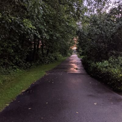 sam_miess's profile picture. 