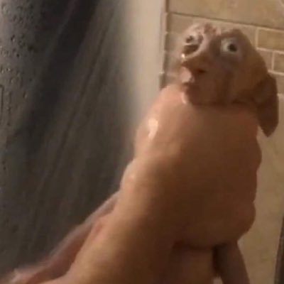 LilDrugzz's profile picture. 