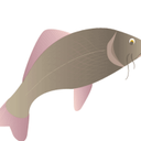 Judy Levy - @Shimlev - Twitter