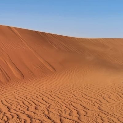 concordonly's profile picture. 