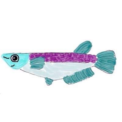 killifischool's profile picture. キャンプに夫婦ではまってます(^^)v将来は「めだかのがっこう」を作って、自然から子どもたちが学ぶ場所を滋賀県につくり🏫自分たちも子どもと一緒に成長する🌱色々教えて欲しいから、キャンプ好きと繋がりたい🏕YouTubeもよかったら見てみてください🐟フォローやチャンネル登録があると嬉しいです🌈積極的に相互します☆