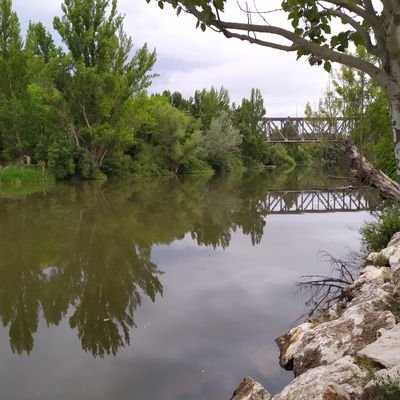 MGilGaspar1's profile picture. 