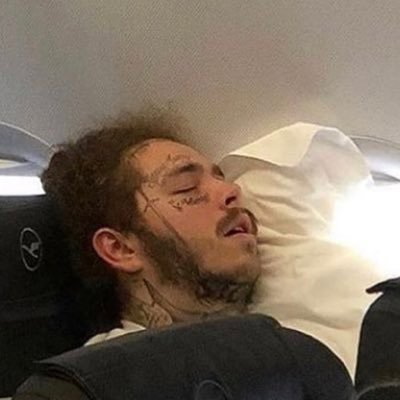 zScriptedd's profile picture. professioneller Feuerzeugdieb, blau ist der Himmel und grün ist die Wiese