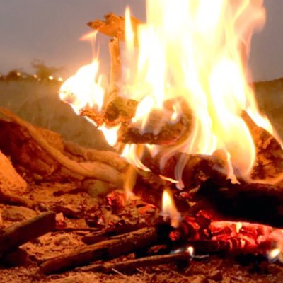 nasserasdf1's profile picture. استغفرالله..