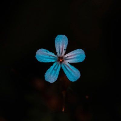 suzanbox1956's profile picture. ライブ♪カフェのスタッフ(自由従業員らしい)笑 ☆#自家製パン も販売中！#クルミレーズンパン オススメです♪ トキドキ⭐ 手作り、 アクセサリーも、がんばってますっ！ありがとう( * ॑꒳ ॑*)⸝ᵗʱᵃᵑᵏᵧₒᵤ