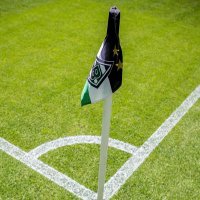 Lasse Sternemann (@lsternemann) Twitter profile photo