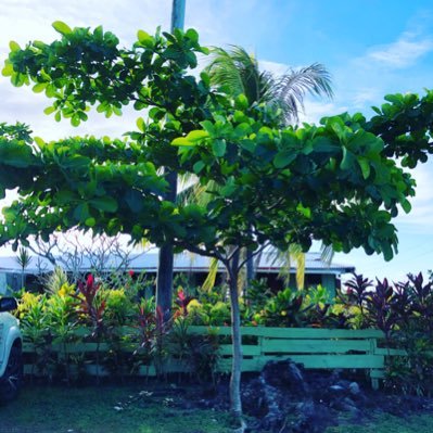 yana222_hiromag's profile picture. 