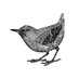 Migratory Birds (@migratory_birds) Twitter profile photo