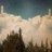 ShondaWalkup's profile image
