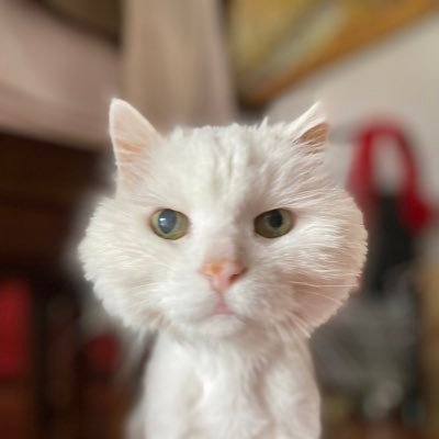helenhelen2020's profile picture. 