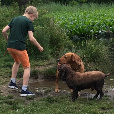 SchofieldAileen's profile picture. I am told I am very kind, fun to be with and very motivating. I’ll take that😀. Care for and value your staff and you’ll get it back and more. All views my own.