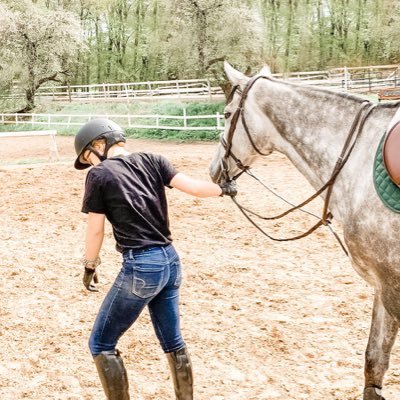 An adult ammy with her green bean horse....what could go wrong?