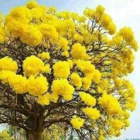 Jenny (@jenny84_) 's Twitter Profile Photo Jenny (@jenny84_) 's Twitter Profile Photo