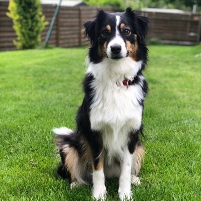 Eileen070400's profile picture. 𝐴 𝑟𝑒𝑎𝑙 𝑓𝑟𝑖𝑒𝑛𝑑 𝑖𝑠 𝑜𝑛𝑒 𝑤ℎ𝑜 𝑤𝑎𝑙𝑘𝑠 𝑖𝑛 𝑤ℎ𝑒𝑛 𝑡ℎ𝑒 𝑟𝑒𝑠𝑡 𝑜𝑓 𝑡ℎ𝑒 𝑤𝑜𝑟𝑙𝑑 𝑤𝑎𝑙𝑘𝑠 𝑜𝑢𝑡.