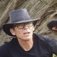 Peter Hobson (@profpetehobson) 's Twitter Profile