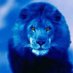 Ascension Christian. Softball (@ascensionchris2) Twitter profile photo Ascension Christian. Softball (@ascensionchris2) Twitter profile photo